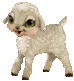 lambs.gif (17495 bytes)
